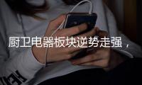 厨卫电器板块逆势走强
，主力资金积极布局