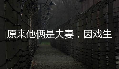 令网友没想到的生情是