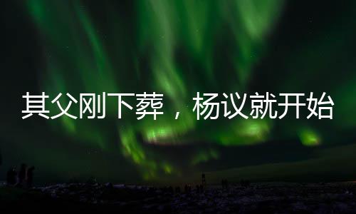 杨仪自爆欠了几个亿