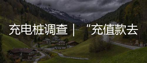 业内人士辛兰告诉记者
