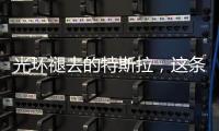 光环褪去的特斯拉	，这条“鲶鱼”如何面对自主围攻？