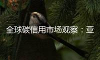 全球碳信用市场观察：亚洲正在崛起