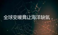 全球变暖竟让海洋缺氧�，3亿年前气候状态警示危机