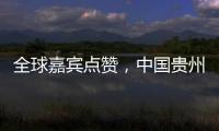 全球嘉宾点赞�，中国贵州正点绿成“金”