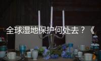 快排公司十年历程，霸屏兔 seo 的崛起与坚守