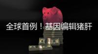 全球首例！基因编辑猪肝脏 被移植到人体