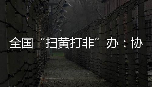 娱乐游艺场所等进行检查