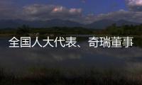 全国人大代表、奇瑞董事长尹同跃
：恶性竞争的“价格战”伤人伤己
