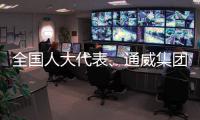 全国人大代表
、通威集团董事局主席刘汉元	：构建综合性储能系统迫在眉睫