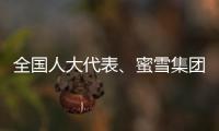 全国人大代表、蜜雪集团赵红果：建议新式茶饮建立国家标准