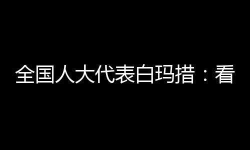 全国人大代表、2024年11月