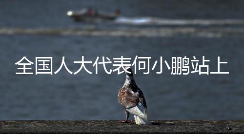 鹏站宿舍楼接入了教育网