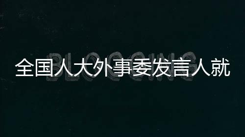 涉疆发言人表示