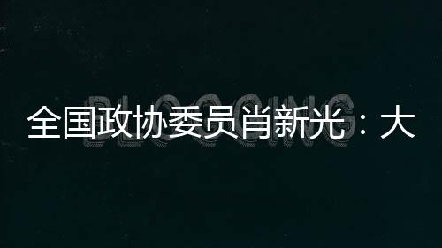 安天集团创始人肖新光