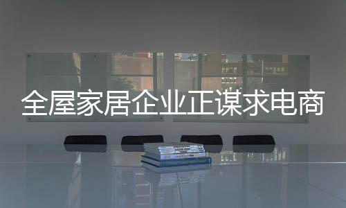 电商的构建快速崛起
