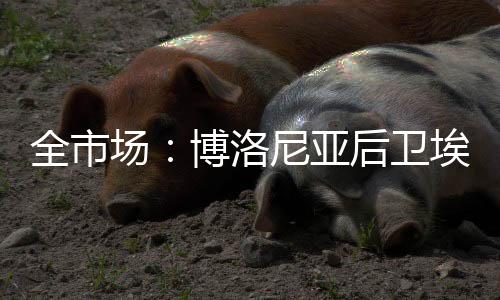 自从去年加盟球队以来