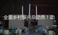 全面乡村振兴总动员！动画解读2021中央一号文件