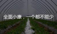 全面小康
，一个都不能少