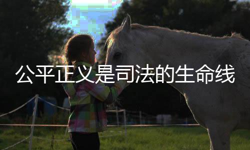 打听、张 璁例如