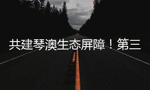 次参为琴澳融合写下生动注脚
