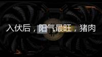入伏后，阳气最旺，猪肉鱼肉靠边站，多吃8样，清热又解暑