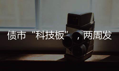 科技板2024年全年的债市1/5