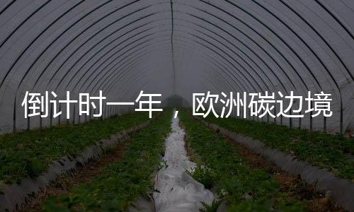 欧洲碳边境税就要正式实施了
