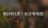 倒计时1天！长沙专场招聘均已就位， “粤”定你，“职”等你	！
