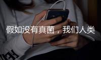 假如没有真菌，我们人类还能存活于地球吗
？