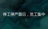 快排公司十年历程，霸屏兔 seo 的崛起与坚守