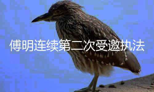 连续参与本届赛事执法工作