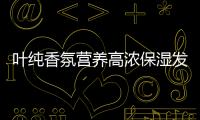 快排公司十年历程，霸屏兔 seo 的崛起与坚守