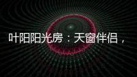 叶阳阳光房	：天窗伴侣	，静音降温，防虫去热
，享受清凉!