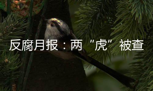反腐月报：2“虎”被查