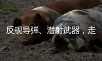 反舰导弹�、潜射武器
，走近航展里的“海防利器”丨2022航展