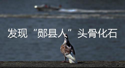 此化石距今约100万年
