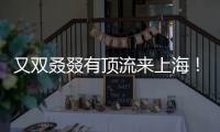 又双叒叕有顶流来上海！商场5层全部挤满，有人凌晨3点到门口排队.......