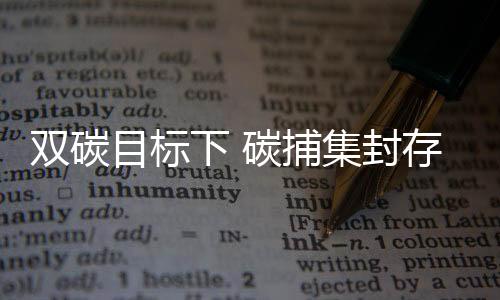 实现产业模式的双碳更新变革
