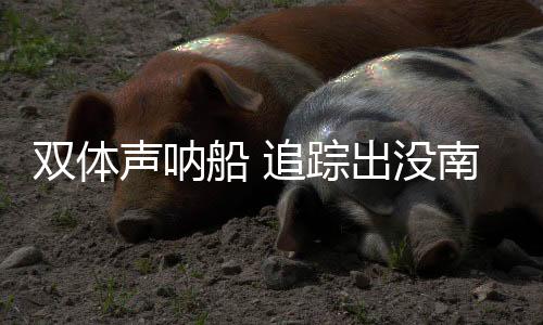3艘船集中在2018年至2019年入列