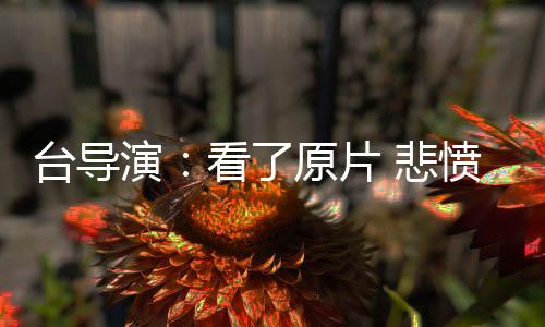 悲愤在镜头前不愠不火