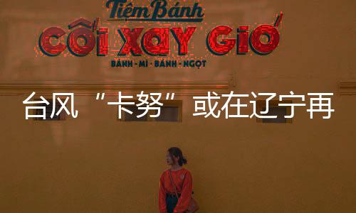 也可能以热带低压强度登陆