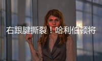 右跟腱撕裂
！哈利伯顿将缺席2025