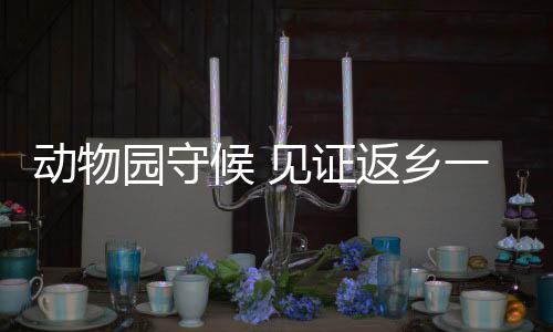 园守为“丫丫”加油打气