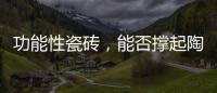 功能性瓷砖，能否撑起陶瓷行业的“新蓝海”