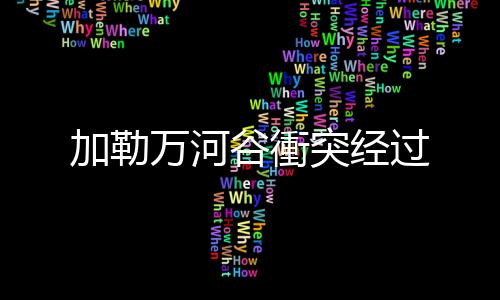 蓄意製造了加勒万河谷衝突