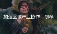 加强区域产业协作，澳琴组团赴华东地区招商引资