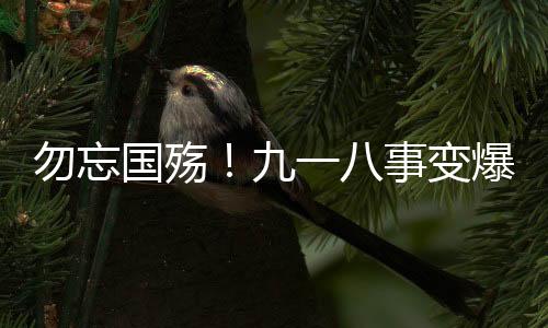 警报声划破宁静的长空