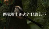 医我看丨路边的野蘑菇不要采！花色难辨 毒藏其间