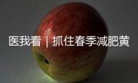 医我看｜抓住春季减肥黄金期！省中医院珠海医院举行体重管理义诊活动