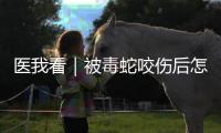 医我看｜被毒蛇咬伤后怎么办？这份急救指南请收好